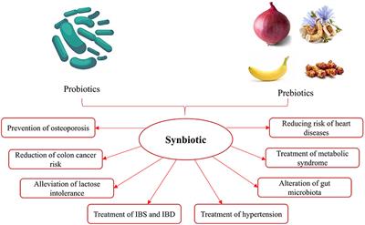 An insight to potential application of synbiotic <mark class="highlighted">edible films</mark> and coatings in food products